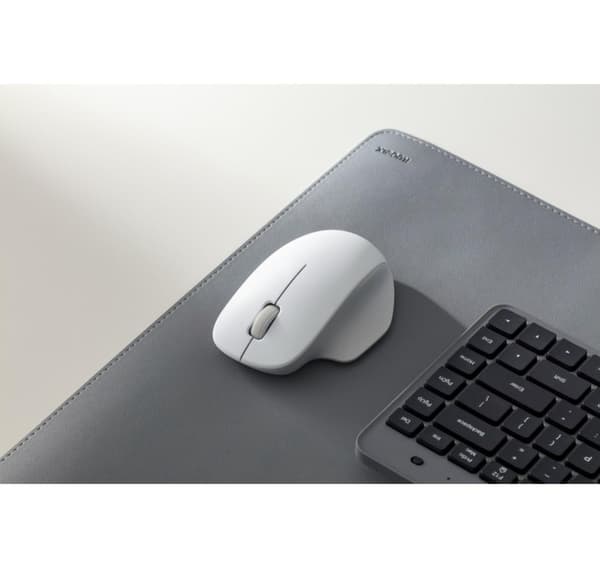 Xiaomi, Mouse Comfort Edition