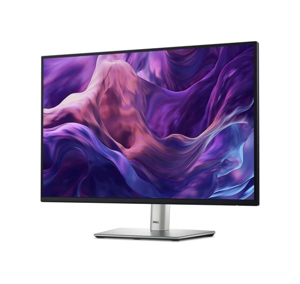 Dell, P2425E