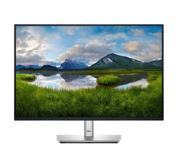 Dell, P2425E Svart