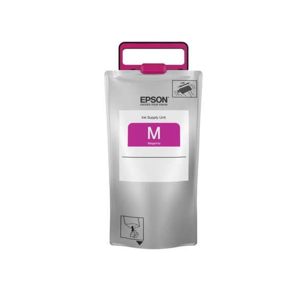 Epson, C13T869340