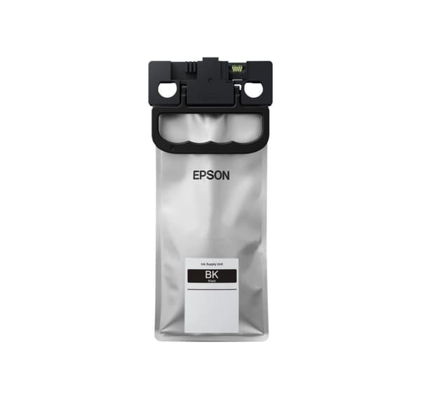 Epson, C13T01C100