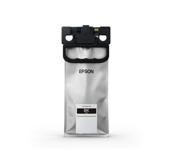 Epson, C13T01C100