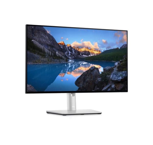 Dell, Bildskärm utan stativ, U2424H