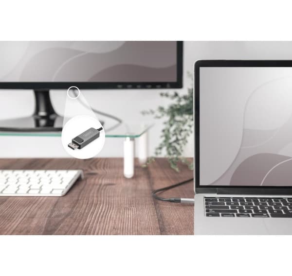 Digitus, USB-C till DisplayPort, dubbelriktad adapterkabel, DB-300334-010-S
