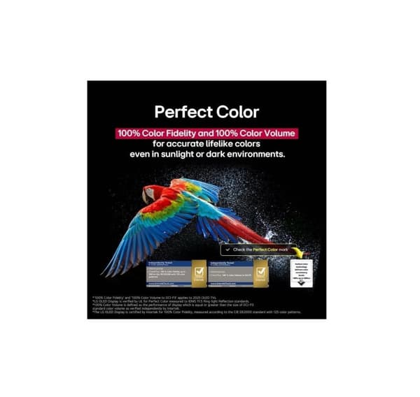 LG, OLED55C51LA