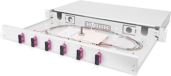 DIGITUS Professional DN-96320-4 - fiberoptisk kabelboks - SC X 12 - grå, RAL 7035 - 1U - 48,3 cm (19")