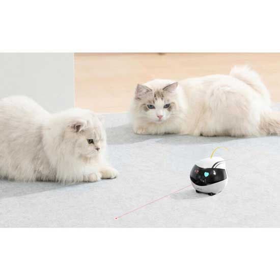 Enabot Ebo Air Companion Robot
