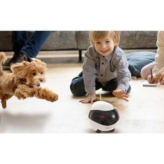 Enabot Ebo Air Companion Robot