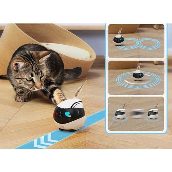 Enabot Ebo Air Companion Robot