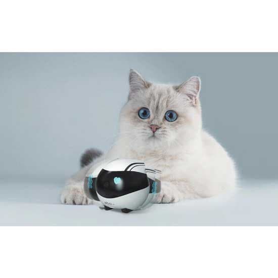 Enabot Ebo Air Companion Robot