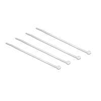 Delock nippusiteet läpinäkyvä L 100 x L 2,5 mm 100 kpl (18605)