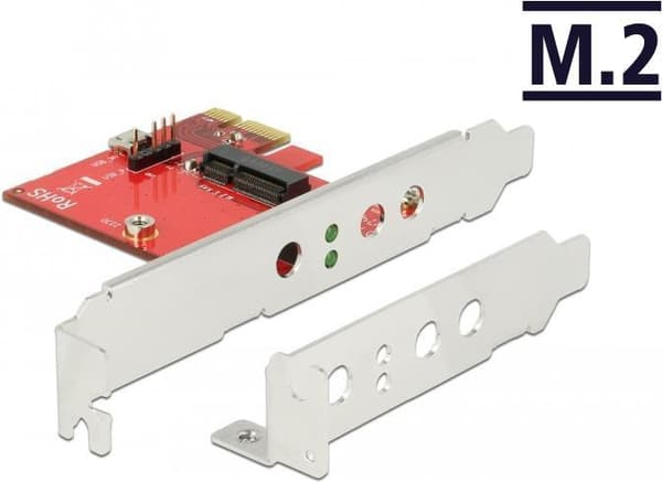 DeLOCK - Lagercontroller - M.2 - M.2 kort med lav profil - PCIe x1, USB 2.0