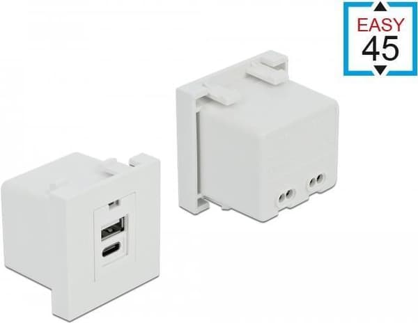 Delock Easy 45 - USB-utgång - USB, USB Type-C - enkel - 2,1 A - vit, RAL 9003 (81313) Vit