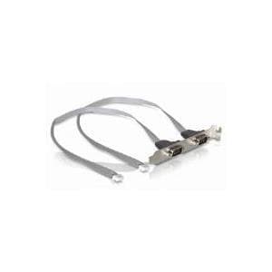 Delock - låsebeslag - Serill 2xPort (2mm)
