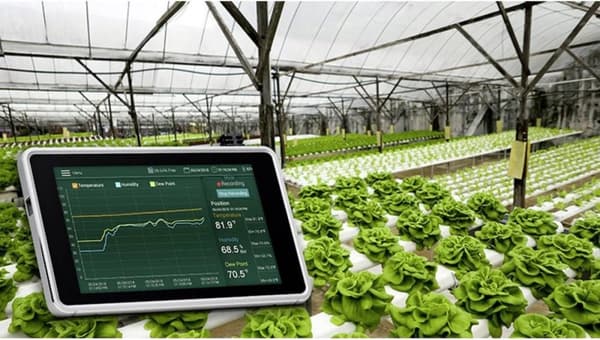 Extech RH550 - fugt- og temperaturoptager - med touchskærm