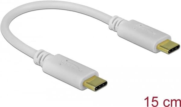 Delock - USB-C / virtajohto - 24-nastainen USB-C (M) - 24-nastainen USB-C (M) - 5 A - 15 cm - USB-virtalähde (100 W), tukee Power Delivery 2.0 -valkoi
