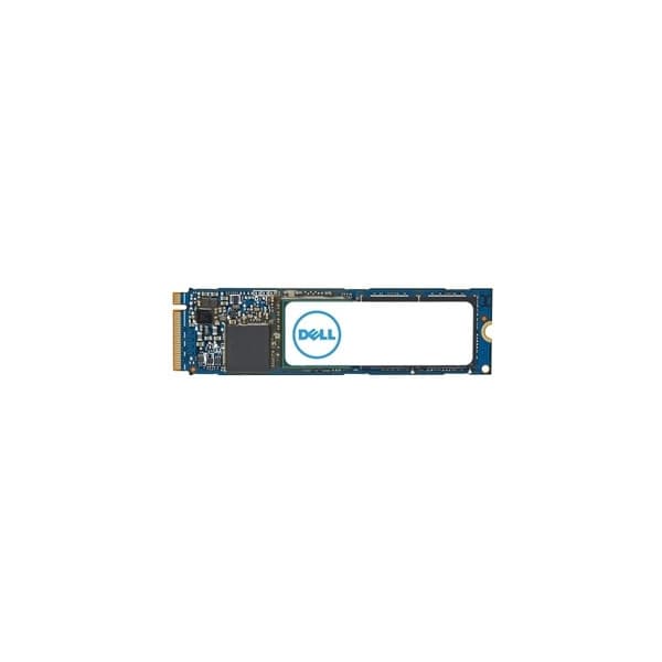Dell 1 Tt PCIe NVMe 4x4 Class 40 2280 SSD-drev