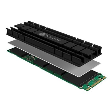 Raidsonic IB-M2HS-701
