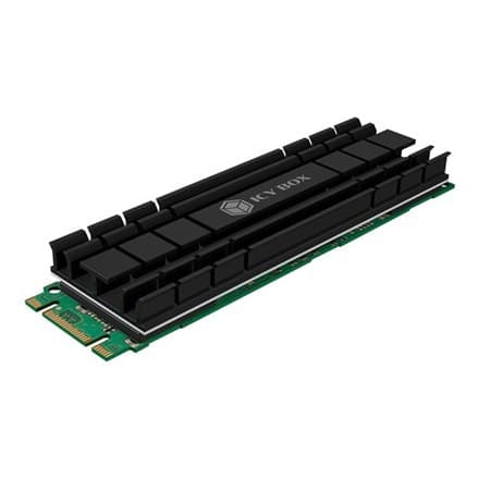Raidsonic IB-M2HS-701