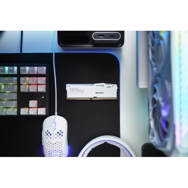 Kingston FURY Beast White DDR5 RGB 6000 MHz CL30 16 GB hukommelsesmodul