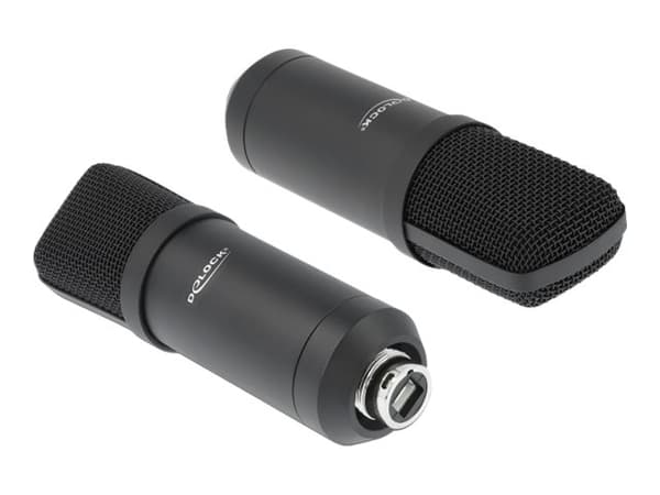?Delock profesjonelt USB-kondensatormikrofonsett for podcasting og spill