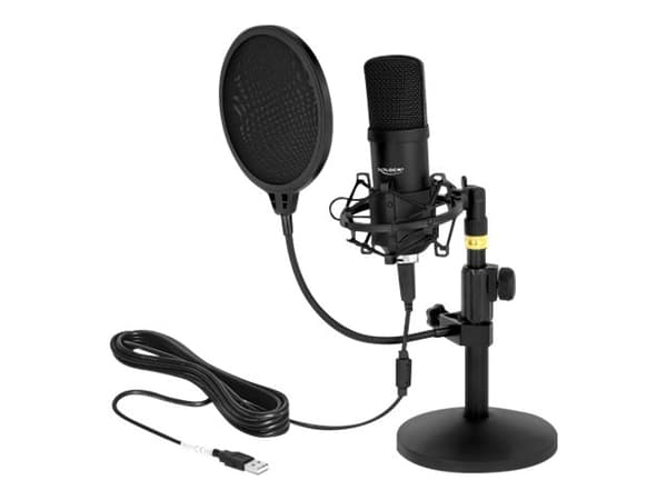 ?Delock profesjonelt USB-kondensatormikrofonsett for podcasting og spill
