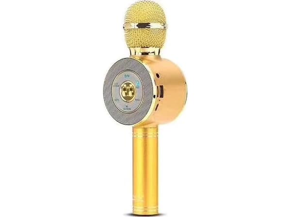 Vega Karaoke Gold Microphone