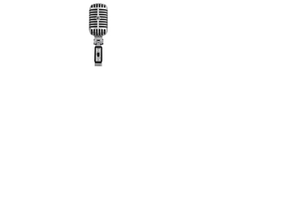 Shure 55SH Series II - Mikrofon