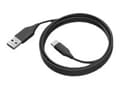 Pikkukuva 1 / 4: Jabra PanaCast 50 Pow Cable EU Pwr -kaapeli