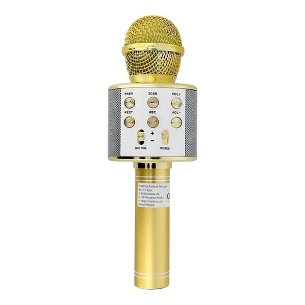 Multimedia Karaoke Mikrofon CR58 - Guld