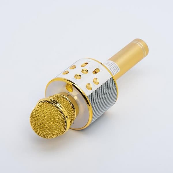 Multimedia Karaoke Mikrofon CR58S HQ - Guld