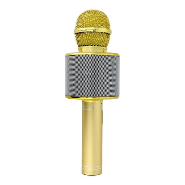 Multimedia Karaoke Mikrofon CR58S HQ - Guld
