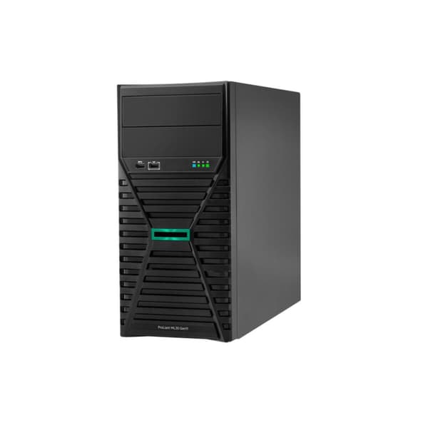 Server HPE ML30 GEN11 16 GB RAM Sort