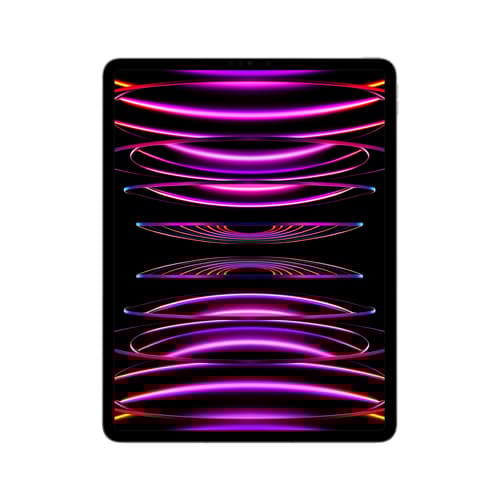Apple iPad Pro 6th Gen 12.9in Wi-Fi+Cellular 1TB - Grey Grå