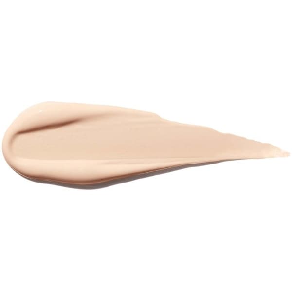 Shiseido Synchro Skin Self Refreshing Concealer 102 6ml