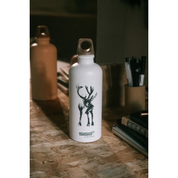SIGG x TJ Poro -vattenflaska 0,6 l