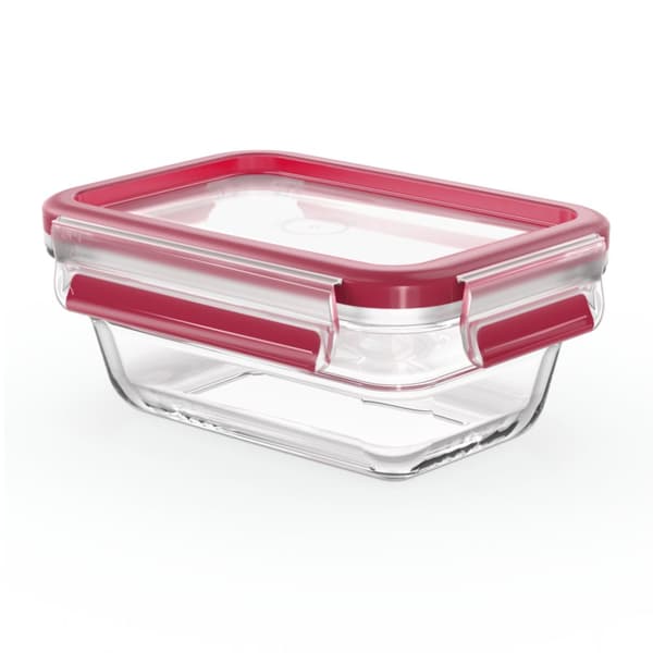 Tefal N1040510 MasterSeal Glas Opbevaringsboks 0,45 L