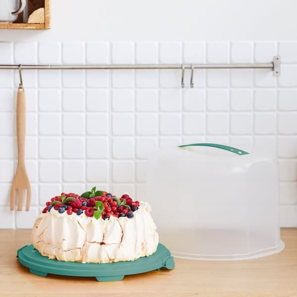 Rotho Fresh Cake Box XL 35,5x34,5x26 cm Mistel Grön/Transparent