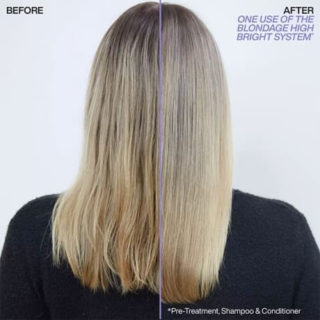 Redken Redken Blondage High Bright Duo 300ml - Blont & Silver