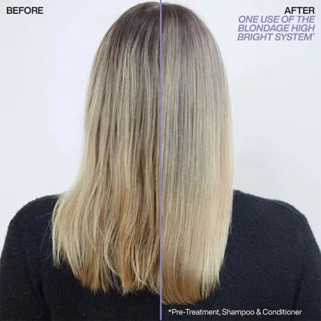 Redken Redken Blondage High Bright Trio - Blont & Silver