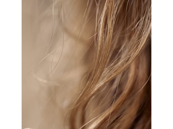 Sisley Hair Rituel Intense Nutrition Mask - - 190 ml