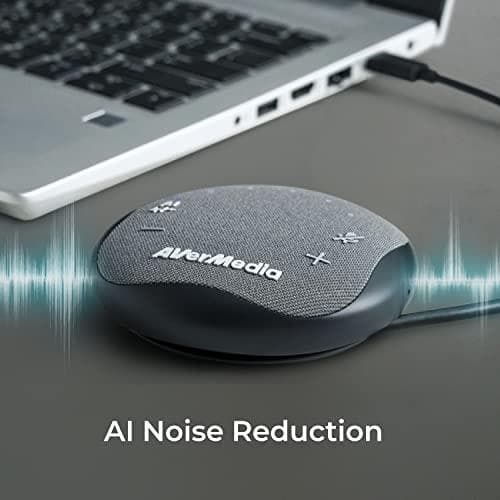 AVerMedia AS315 - högtalartelefon - trådbunden - aktiv brusreducering - USB-C (AS315)