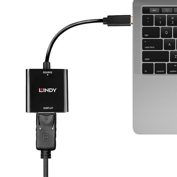 USB TYP C TILL DISPLAYPORT CONVERTER 4K144 LINDY