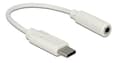 Miniatyrbillede 2 af 2: Audio Adapter USB Type-C™ male > Stereo Jack female 14 cm