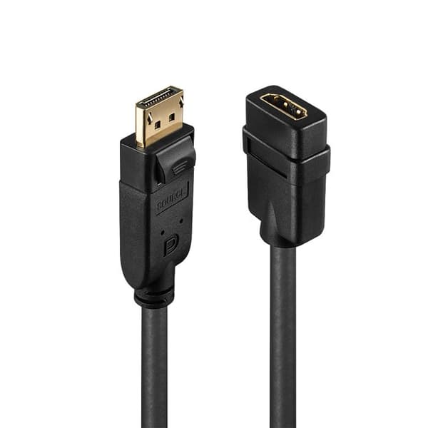 Adapter - LINDY - Konverter DisplayPort till HDMI - Upplösning 2560x1600 - Ljudstöd - 15cm