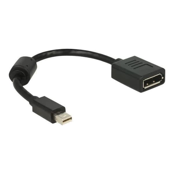 Delock DisplayPort Adapter 2165355 [1x Mini Display Port hane 1x Display Port hona] 0,21 m svart med plastkärna