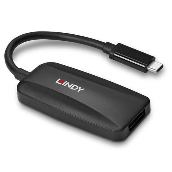 USB Typ C till DisplayPort 1.4 Converter Svart