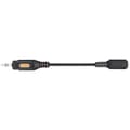 Miniatyrbild 2 av 4: SpeaKa Professional ljudadapter SP-7869840 DIN / Jack-anslutning [1x 3,5 mm hanuttag - 1x 5-polig hondiod (DI