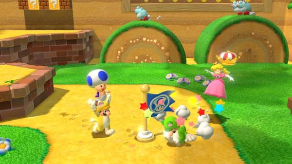 Nintendo Super Mario 3D World + Bower's Fury (10004552)