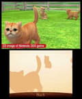Miniatyrbild 3 av 11: 3DS-spel Nintendogs Golden Retriever + Cats